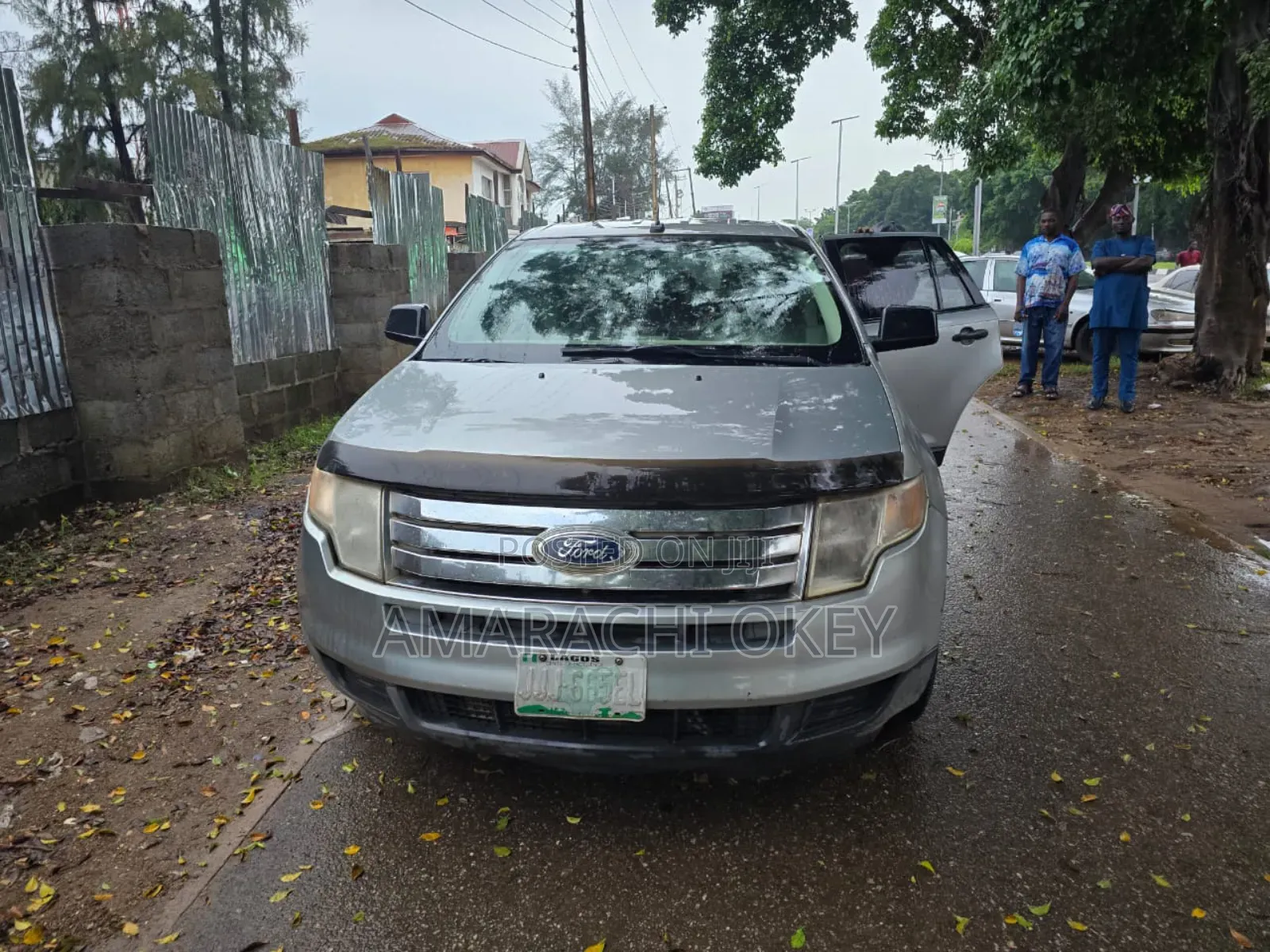Ford Edge 2008 Silver