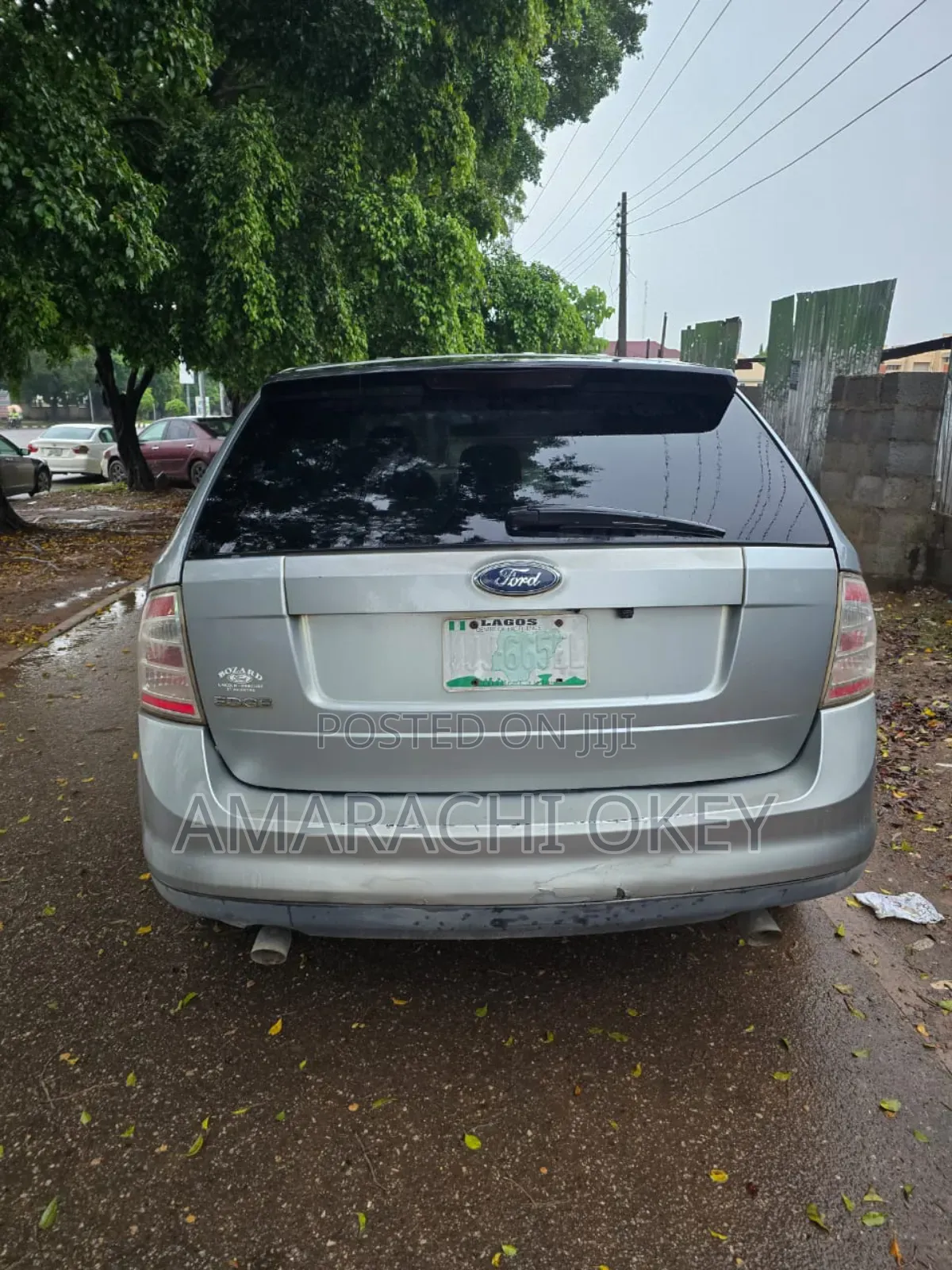 Ford Edge 2008 Silver