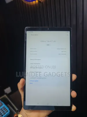Samsung Galaxy Tab A7 Lite 32 GB Gray
