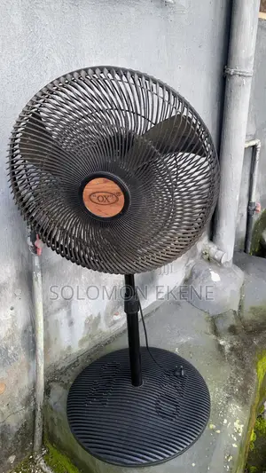 One Standing Fan