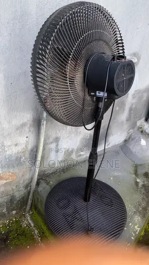 One Standing Fan