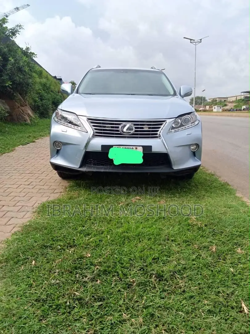 Lexus RX 2010 Blue