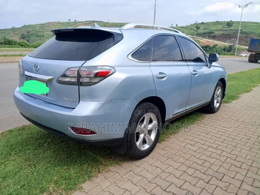 Lexus RX 2010 Blue