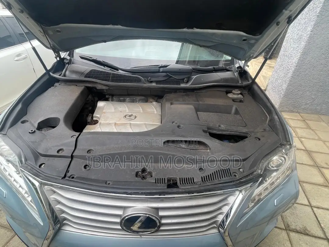 Lexus RX 2010 Blue