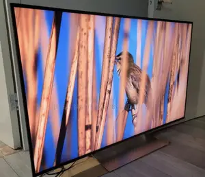 Exceptional 55 Inches Sony Bravia Android UHD Google Assistance TV