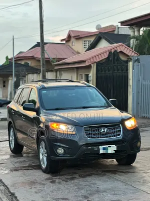 Hyundai Santa Fe 2010 Gray