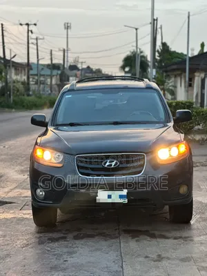 Hyundai Santa Fe 2010 Gray