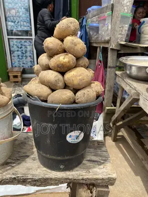 Perishable Food Veggies