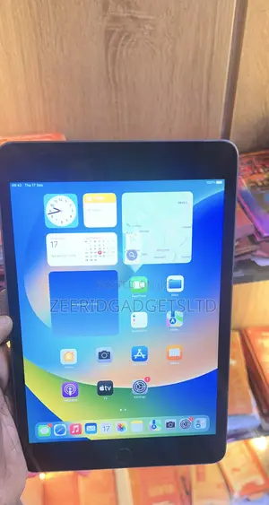 Apple iPad mini 5 (2019) 64 GB Gray