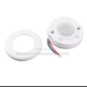 PIR Motion Sensor