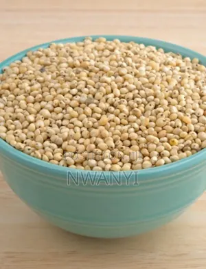 Sorghum (Guinea Corn)