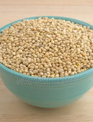 Sorghum (Guinea Corn)