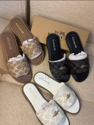 High Quality Coach Size: 37 to 42 With Box