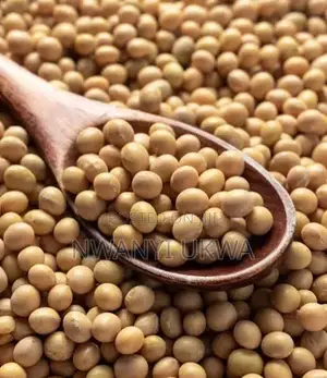 Premium Okpa Flour