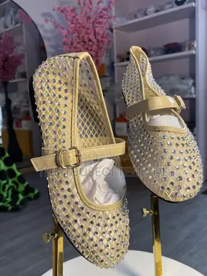 Fully Stoned Flat Shoe Ladies Shoes