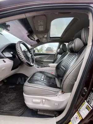 Toyota Venza 2009 Brown