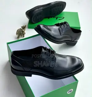 Clarks Oxford Shoes