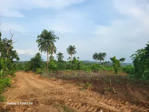 30 Acres for Sale Behind Gateway International Airport