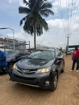 Toyota RAV4 XLE 4dr SUV (2.5L 4cyl 6A) 2014 Gray