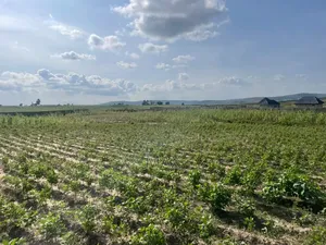 20 Plots of Land in Kurudu