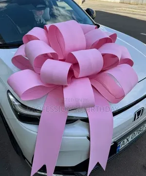 Best Lagos Car Bow Seller