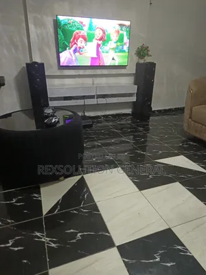 Television