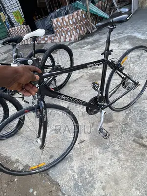 Spot Bicycle 