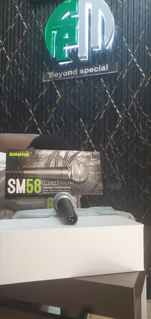 Shure SM58 Dynamic Vocal Microphone