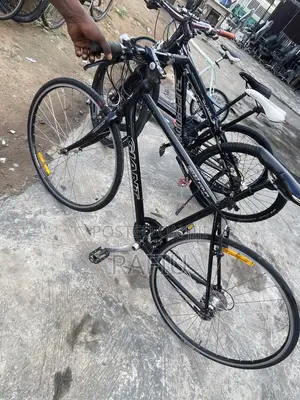 Spot Bicycle 