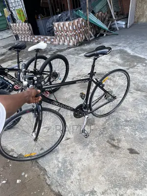 Spot Bicycle 