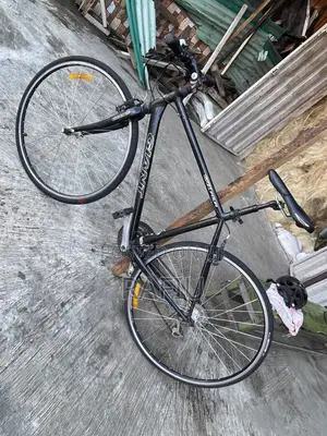 Spot Bicycle 