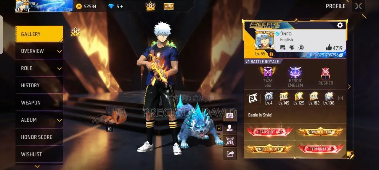 Free Fire Account