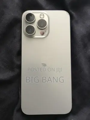 Apple iPhone 15 Pro Max 256 GB Gray