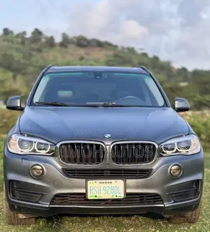 BMW X5 2015 Gray