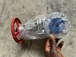 1” Stainless Gatevalve