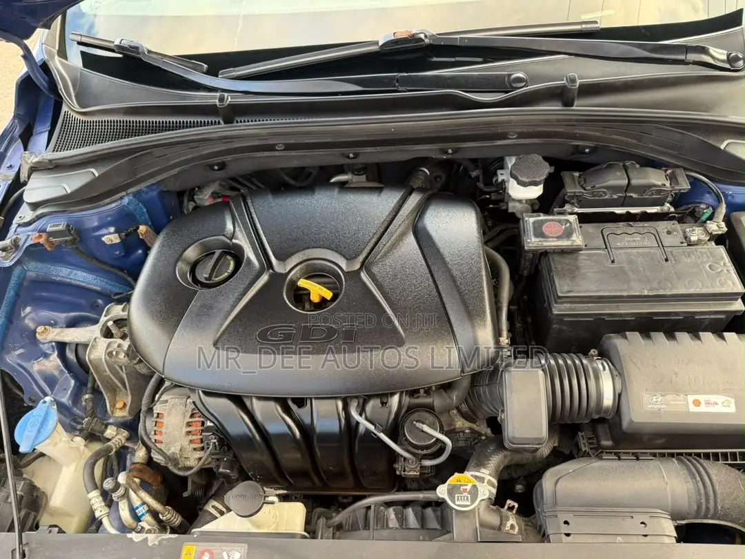 Hyundai Elantra 2019 Blue