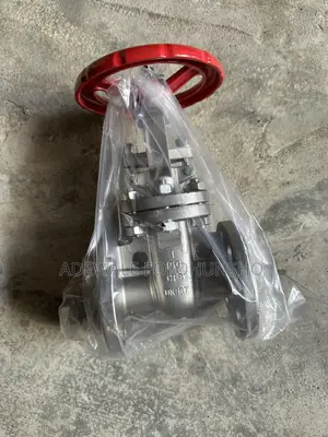 1” Stainless Gatevalve