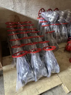 1” Stainless Gatevalve