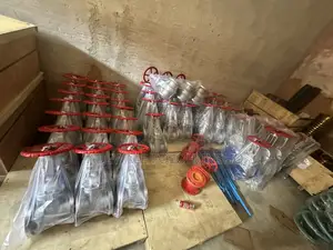 1” Stainless Gatevalve