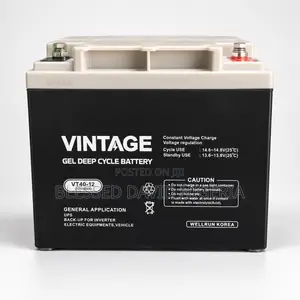 Vintage 12V 40Ah Deep Cycle Gel Battery VT40-12