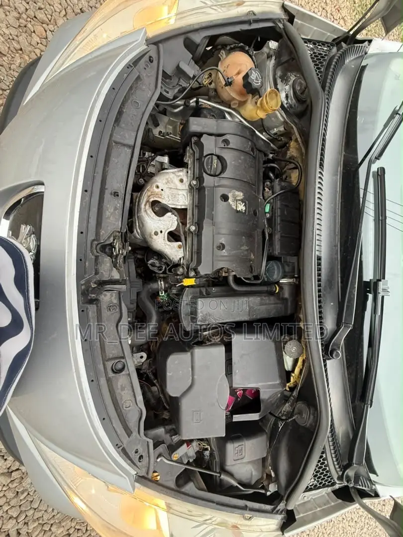 Peugeot 207 2009 Silver