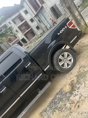 Ford F-150 Platinum 2010 Black