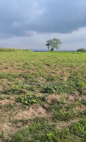 Plots of Land for Sale at the Back of Fountain University, Oke Osun