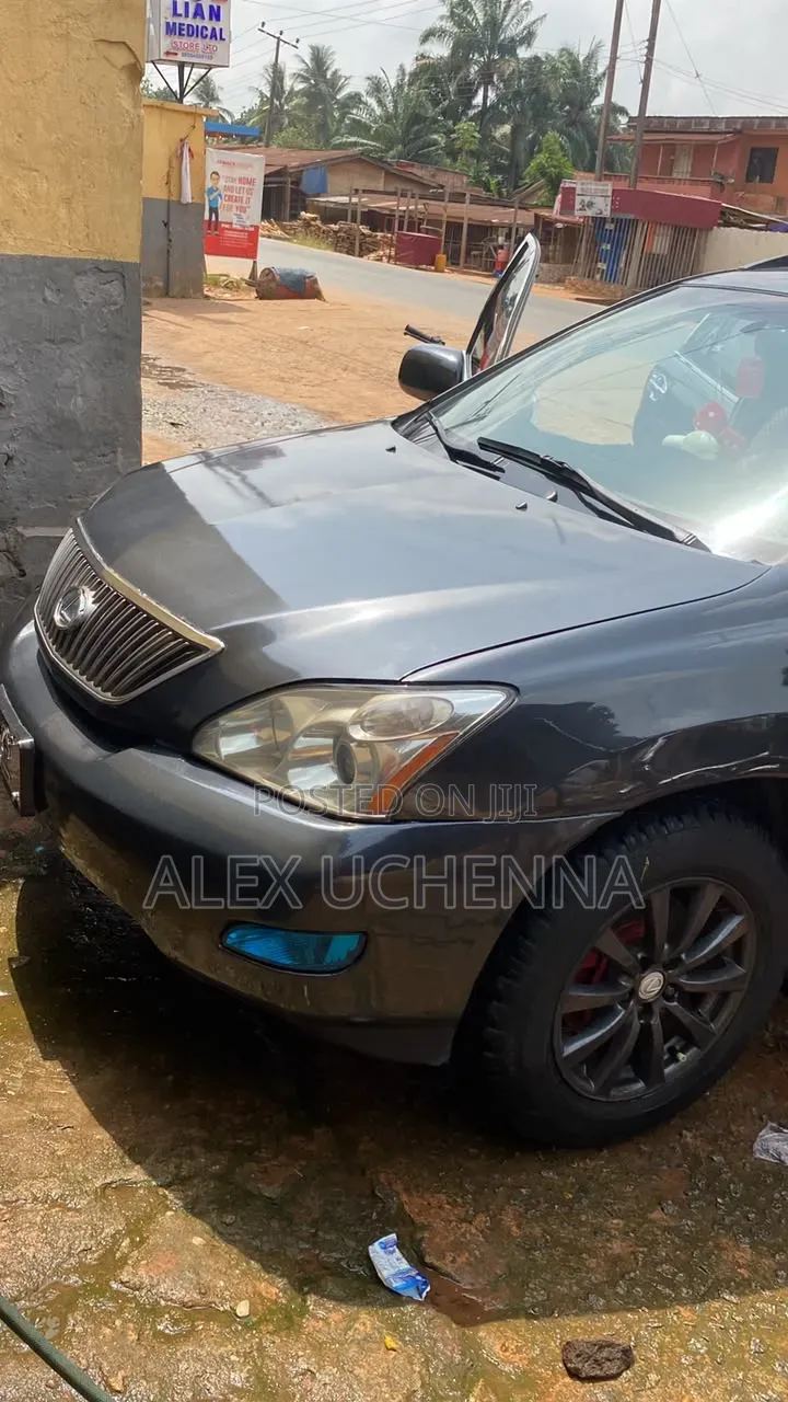 Lexus RX 2007 Gray
