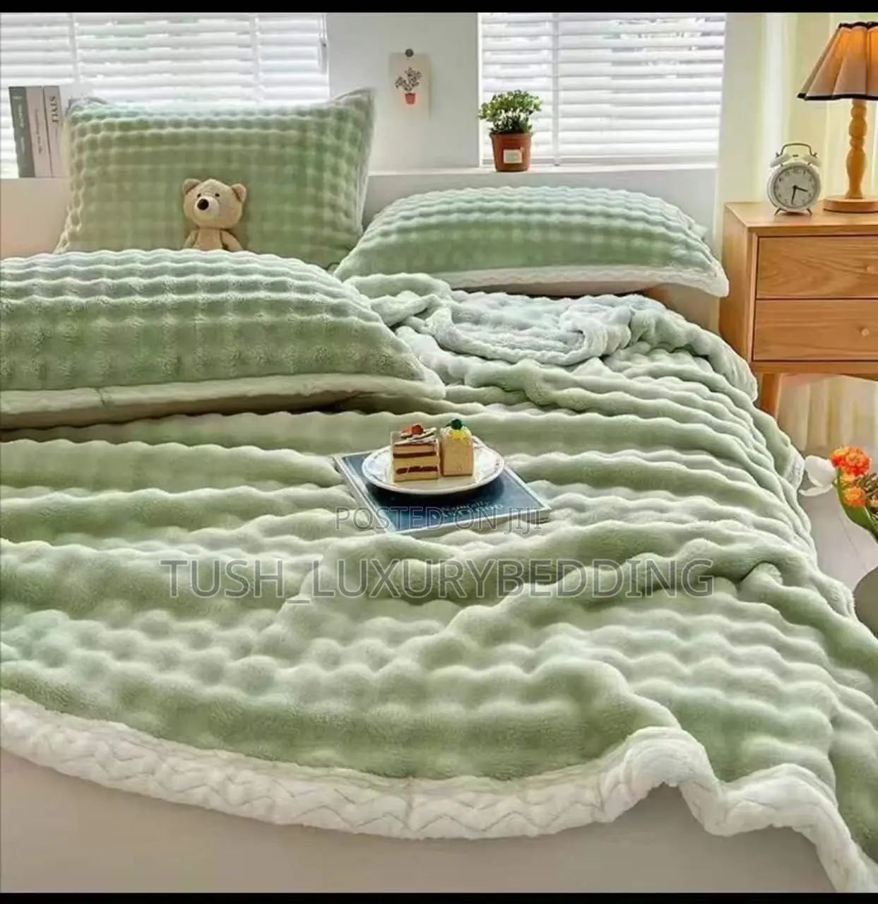 Plush Blanket