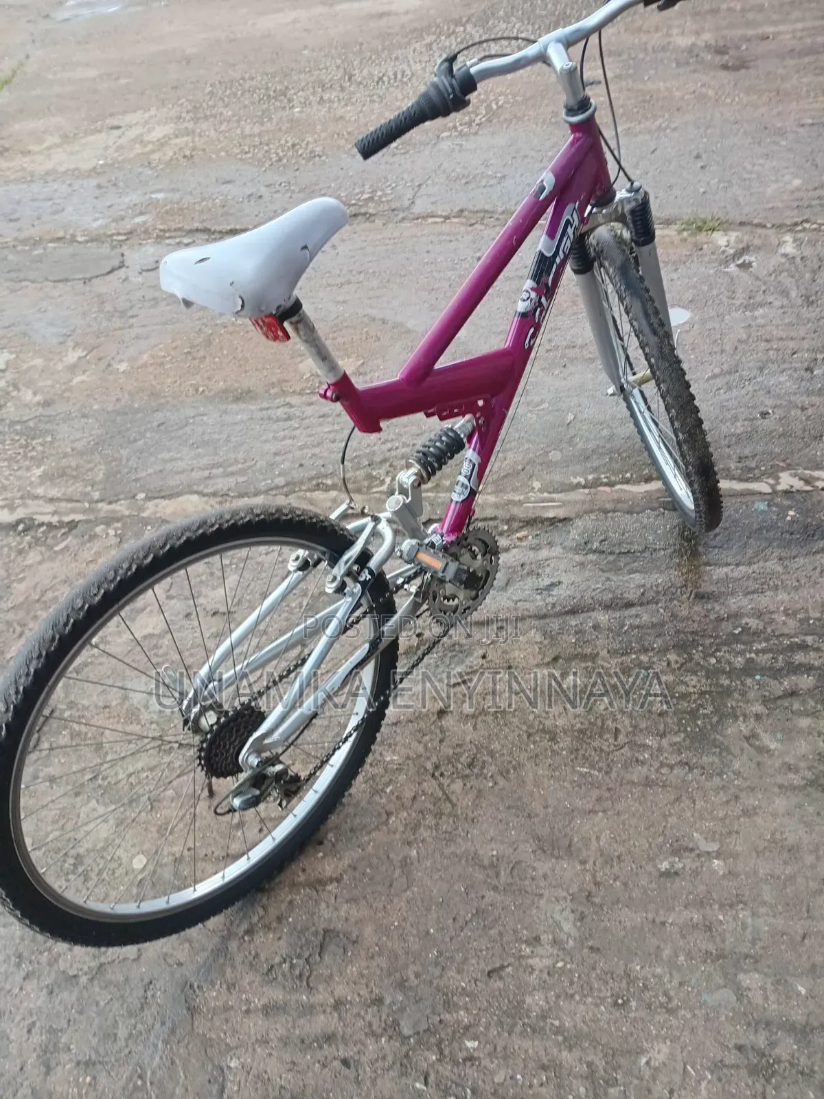 Splendid Bicycle