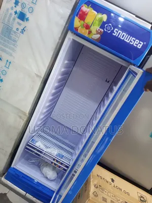 SNOWSEA Freezing Chiller Show Glass