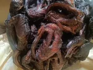 Clean Dry Fish for Sale in Kubwa - Wholesale Retail