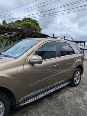 Mercedes-Benz M Class 2010 Brown