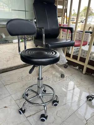Adjustable Stool With Back Rest
